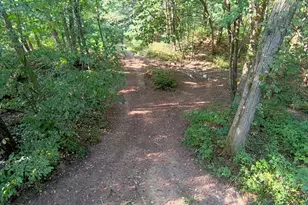 5773 M-66, East Leroy, MI 49051 - Photo 23