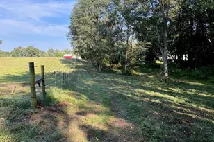 5773 M-66, East Leroy, MI 49051 - Photo 33