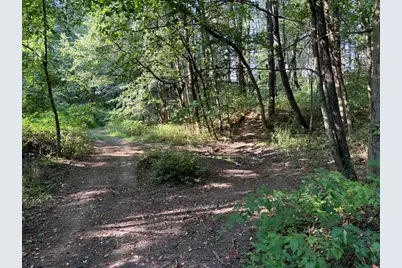 5773 M 66, East Leroy, MI 49051 - Photo 31