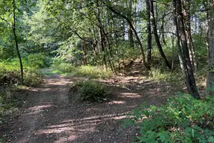 5773 M-66, East Leroy, MI 49051 - Photo 31
