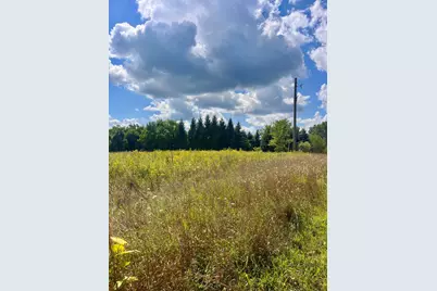 2260 N Gibbs Road, Albion, MI 49224 - Photo 5