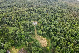 V/L Whiskey Run Rd, Paw Paw, MI 49079 - Photo 1