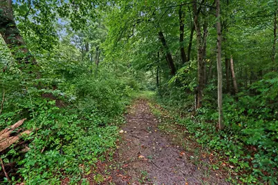 V/L Whiskey Run Rd., Paw Paw, MI 49079 - Photo 5