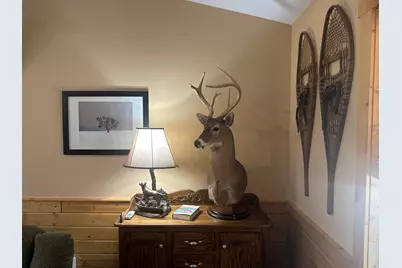 11376 S Retreats Way, Baldwin, MI 49304 - Photo 29