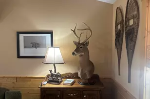 11376 S Retreats Wy, Baldwin, MI 49304 - Photo 29