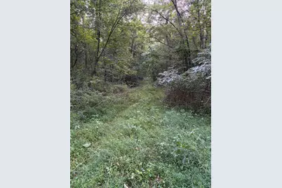 4416 Cronk Road, Allen, MI 49227 - Photo 3