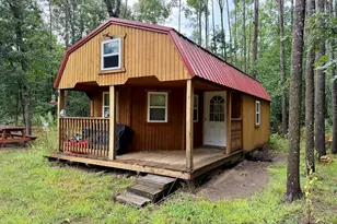 Peacock Rd, Wellston, MI 49689 - Photo 1