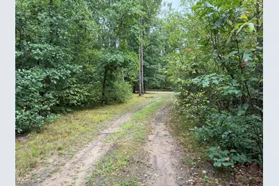 Peacock Road, Wellston, MI 49689 - Photo 11