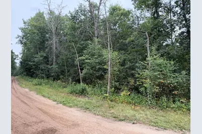 Peacock Road, Wellston, MI 49689 - Photo 17