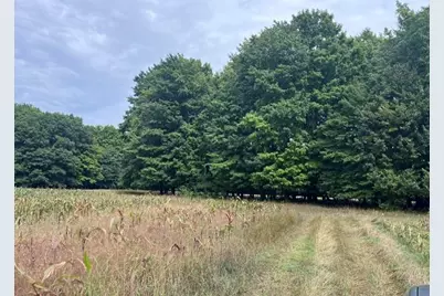 14,5 Acres Erdman Road, Bear Lake, MI 49614 - Photo 7