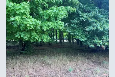 14,5 Acres Erdman Road, Bear Lake, MI 49614 - Photo 21