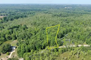 6127 Fawn Lake Dr, Canadian Lakes, MI 49346 - Photo 1