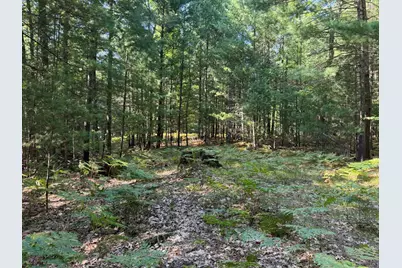 9372 W 7 Mile Road, Irons, MI 49644 - Photo 39