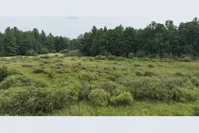 9372 W 7 Mile Road, Irons, MI 49644 - Photo 23