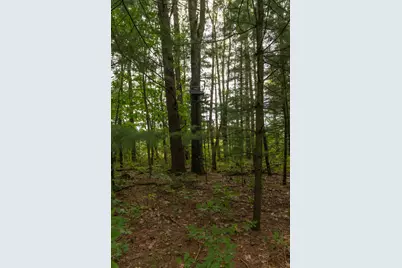 58505 Co Rd 657, Mattawan, MI 49071 - Photo 71