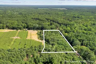 V/L Johnson Rd, Fruitport, MI 49415 - Photo 1