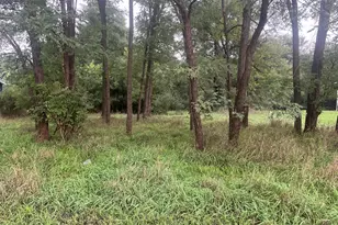 Brooklyn Rd, Jackson, MI 49201 - Photo 1