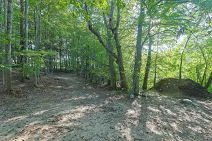 14910 Boyle Lake Rd, Buchanan, MI 49107 - Photo 25