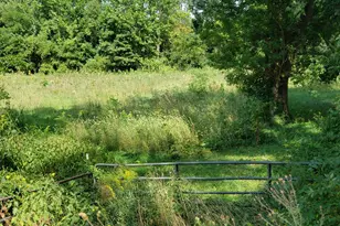 340 Albright Rd, Coldwater, MI 49036 - Photo 21