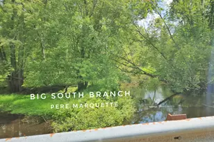 9557 E Anthony Rd, Branch, MI 49402 - Photo 81