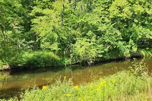 9557 E Anthony Rd, Branch, MI 49402 - Photo 79