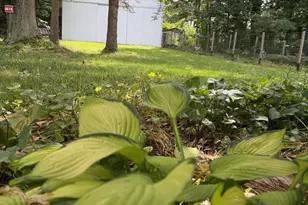 7026 Farr Rd, Onekama, MI 49675 - Photo 35