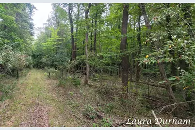 Vl Old Owl Drive, Fennville, MI 49408 - Photo 13
