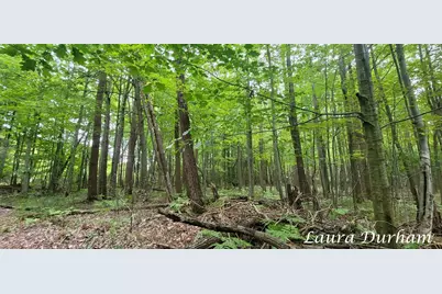 Vl Old Owl Drive, Fennville, MI 49408 - Photo 15
