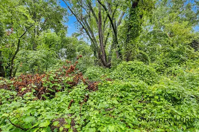 2115 Konkle Drive NE, Belmont, MI 49306 - Photo 5