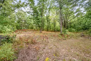 3972 115th Ave, Evart, MI 49631 - Photo 33