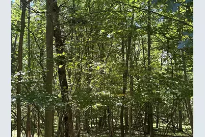 0 Vacant Land Bundle, Stanwood, MI 49346 - Photo 3