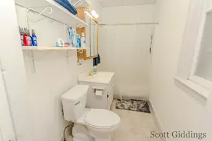 205 S Lincoln St, Stanton, MI 48888 - Photo 63