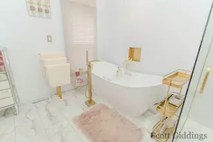205 S Lincoln St, Stanton, MI 48888 - Photo 43