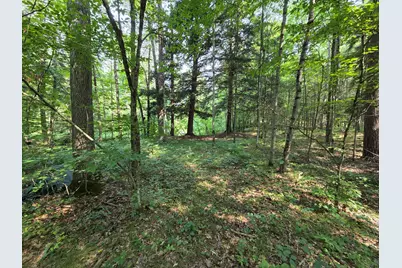 4232 E 3 1/2 Mile Road, Luther, MI 49656 - Photo 25