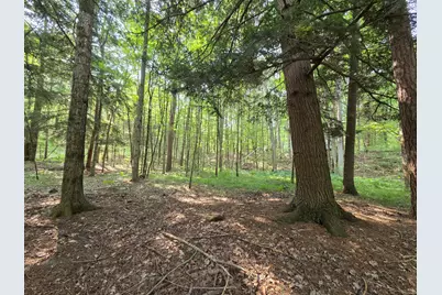 4232 E 3 1/2 Mile Road, Luther, MI 49656 - Photo 23