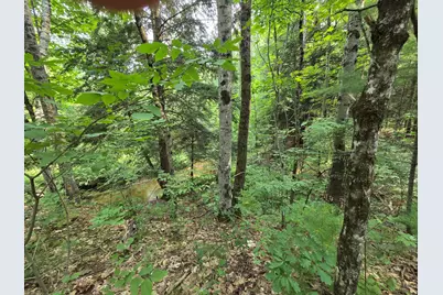 4232 E 3 1/2 Mile Road, Luther, MI 49656 - Photo 11