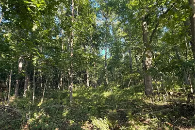 Vl Crego Road, Brooklyn, MI 49230 - Photo 17