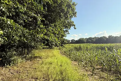 Vl Crego Road, Brooklyn, MI 49230 - Photo 13