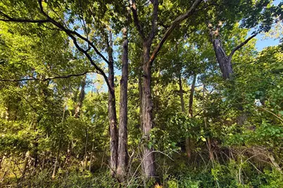 Vl Crego Road, Brooklyn, MI 49230 - Photo 15