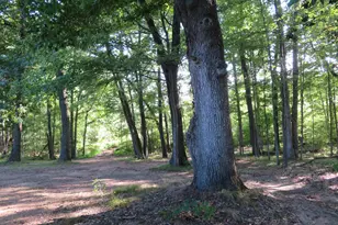 9560 N Meridian Rd, Pleasant Lake, MI 49272 - Photo 11