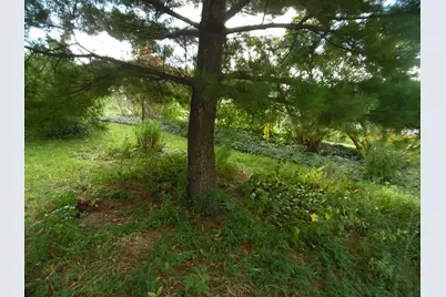1813 S Martin Luther King Jr Drive S, Jackson, MI 49203 - Photo 37