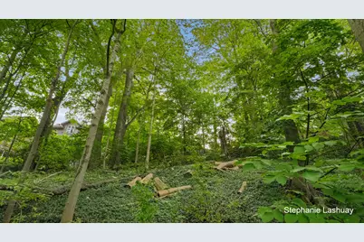 450 Culver Street, Saugatuck, MI 49453 - Photo 11
