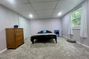 1311 Crescent St, Greenville, MI 48838 - Photo 23