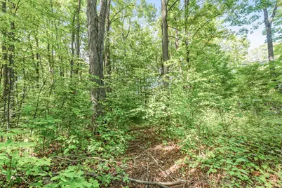 23413 Michigan 115, Tustin, MI 49688 - Photo 39