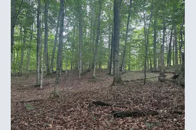 18611 St. Pierre Road, Arcadia, MI 49613 - Photo 1