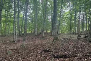 18611 St Pierre Rd, Arcadia, MI 49613 - Photo 1