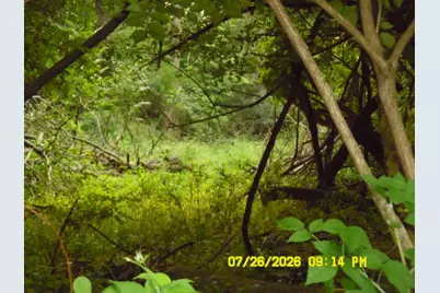 1180 Lewis Street, Jackson, MI 49203 - Photo 19