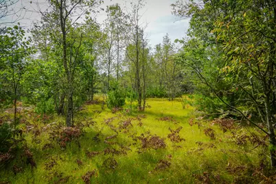 V/L S 142nd Avenue, Rothbury, MI 49452 - Photo 23