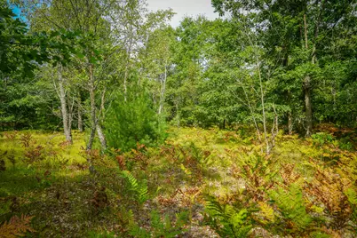 V/L S 142nd Avenue, Rothbury, MI 49452 - Photo 25