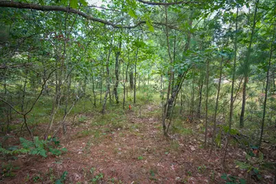 V/L S 142nd Avenue, Rothbury, MI 49452 - Photo 29